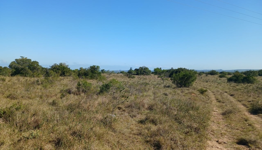 Commercial Property for Sale in Bathurst Rural Eastern Cape